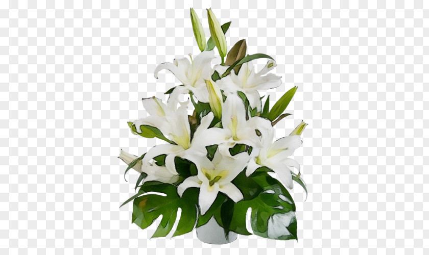 Stargazer Lily Flowerpot Flower White Plant Bouquet PNG