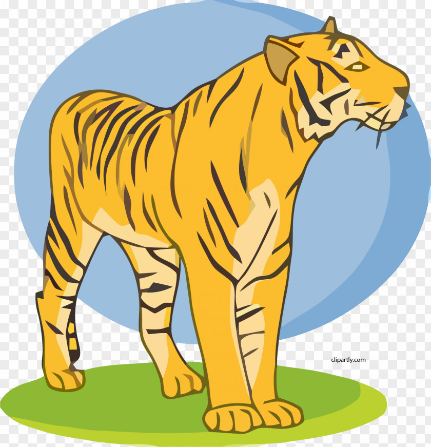 Tiger Clip Art Lion Illustration Openclipart PNG