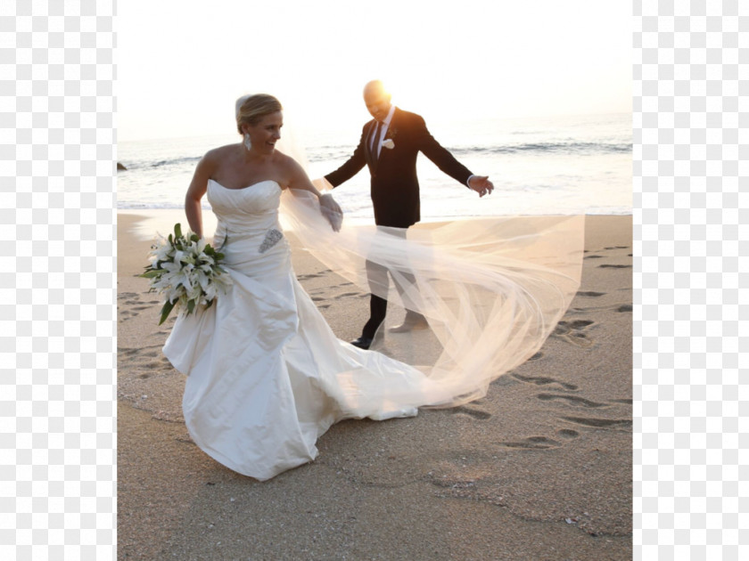 Wedding Dress Bride Photograph PNG