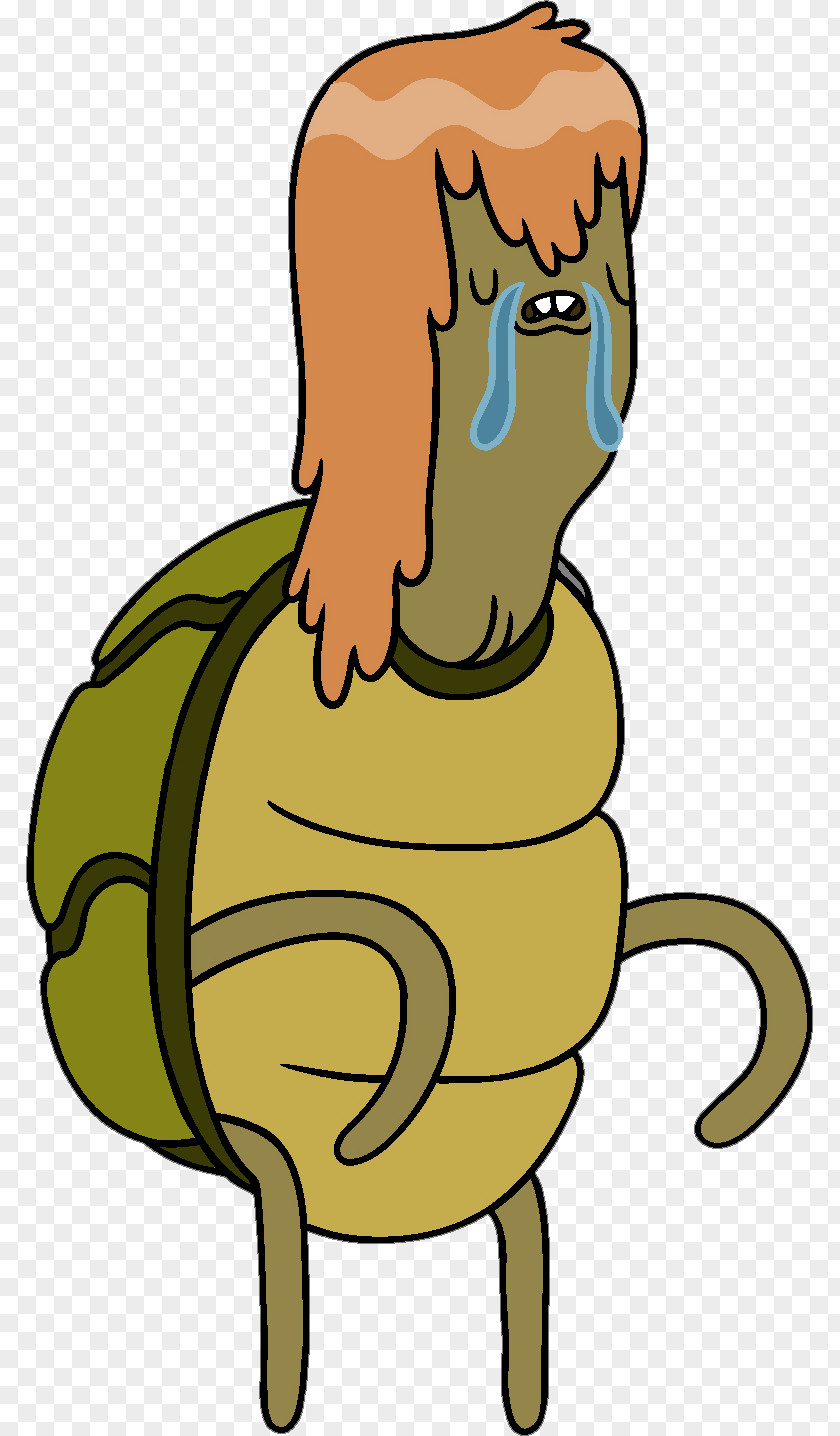 Adventure Time Sea Turtle Paper Pete Homo Sapiens Person PNG