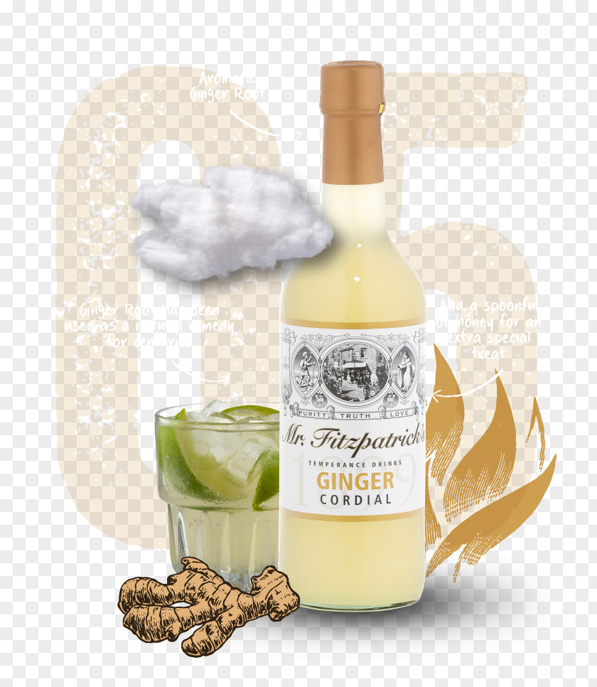 Sarsaparilla Cordial500ml (Case Of 12) By Mr. Fitzpatrick's Food 6 X Mr Fitz Rhubard Rosehip Cordil 500mlGinger Spice Liqueur PNG