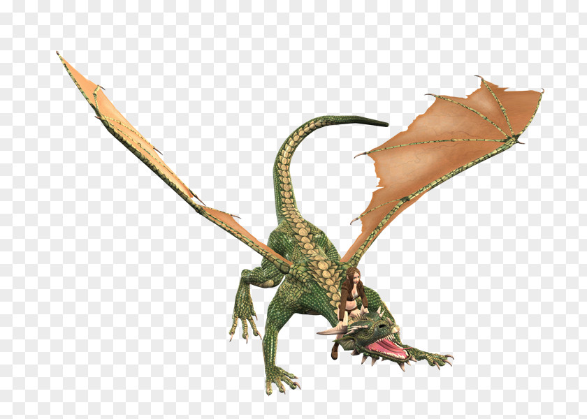 Triceratops Chinese Dragon Wyvern Velociraptor Serpent PNG