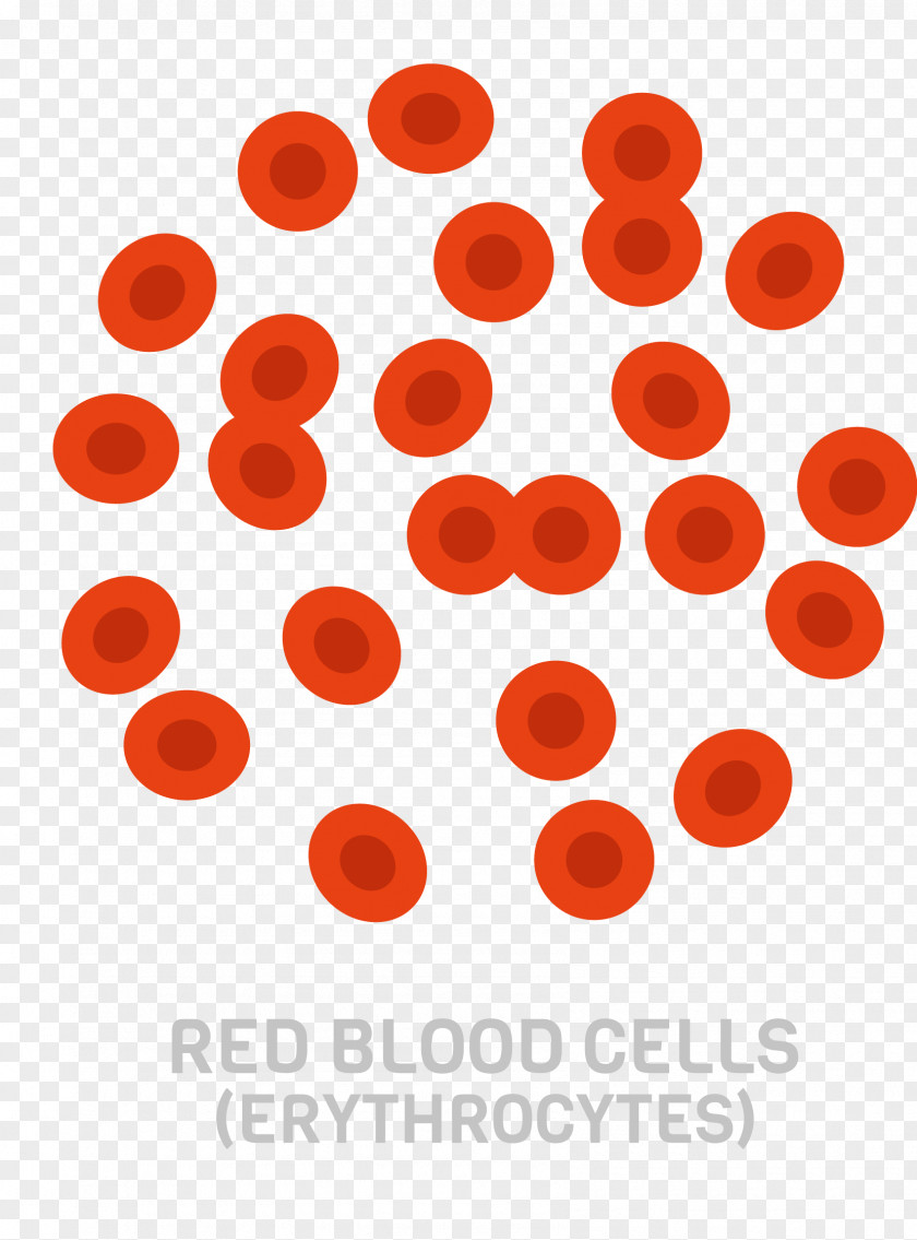 Vector Large Number Of Red Blood Cells Cell PNG