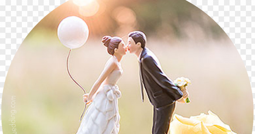 Wedding Cake Topper Bridegroom PNG