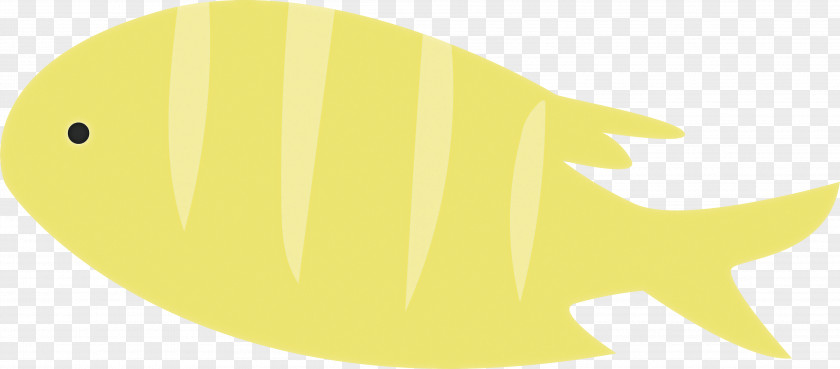 Yellow Meter Fish Fruit Biology PNG