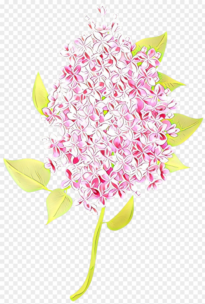 Anthurium Cut Flowers Pink Flower Plant PNG