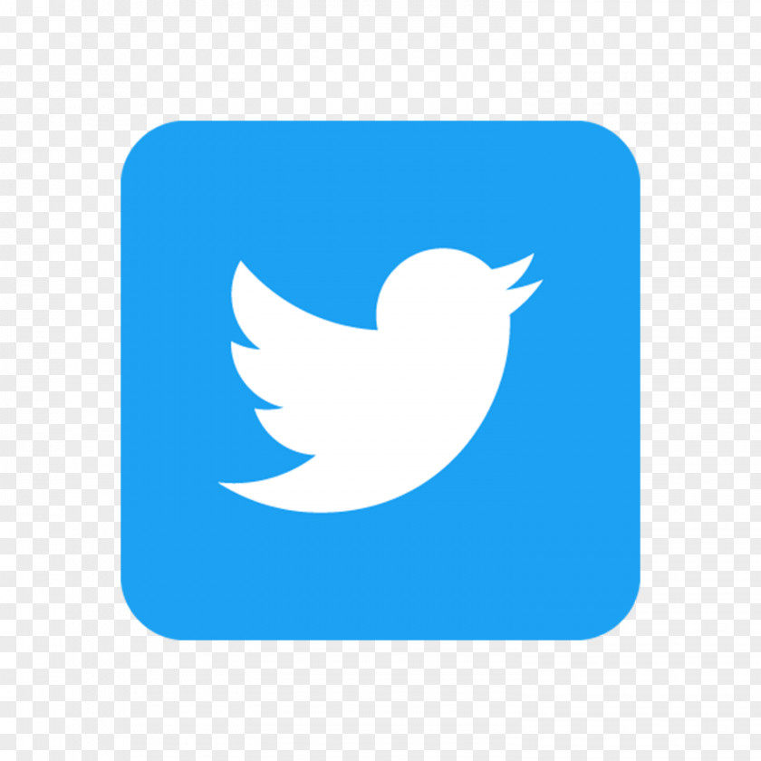 Download Twitter Logo Icon Design PNG