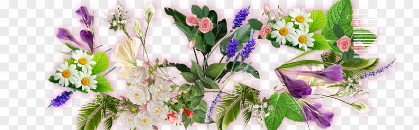 Free To Pull Flowers Flower Leaf Floral Design PNG