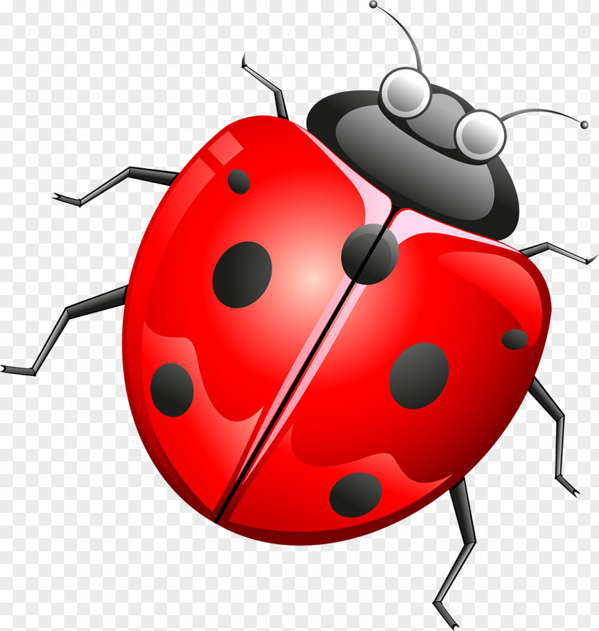 Ladybird Beetle Cartoon Technology Clip Art PNG