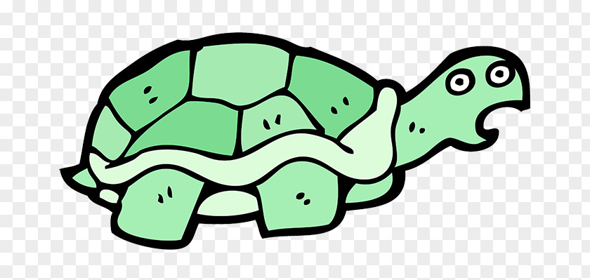Line Art Reptile Sea Turtle Background PNG