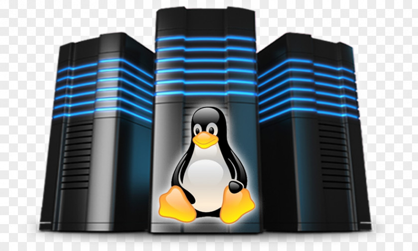 Linuxhosting Web Hosting Service Internet Virtual Private Server Dedicated Domain Name PNG