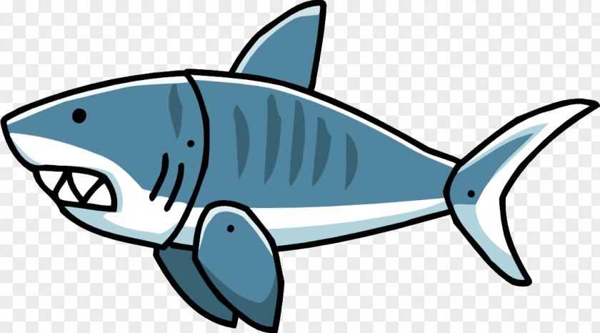 Shark Transparent Images Tiger Clip Art PNG