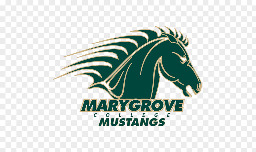 Student Marygrove College Madonna University Mustangs Women's Basketball Of St. Thomas Davenport PNG