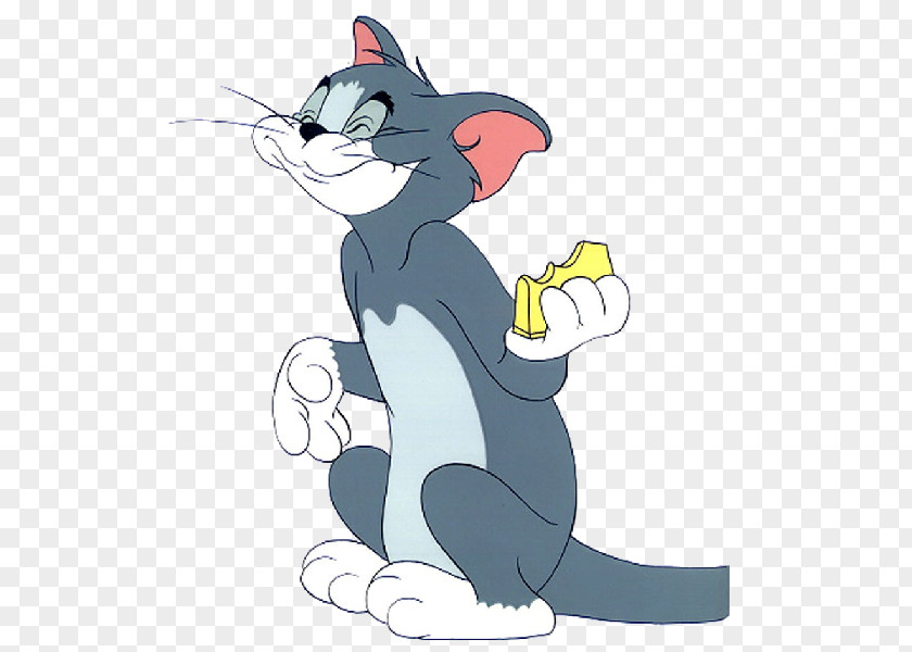 Tom & Jerry Mouse Cat And Desktop Wallpaper Cartoon PNG