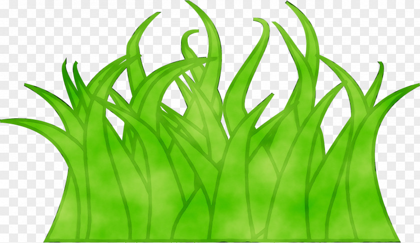 Wheatgrass Green Leaf Plant Stem Line PNG