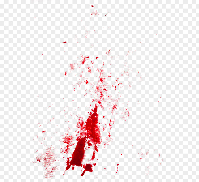 Blood Menstruation Red Menstrual Cycle Desktop Wallpaper PNG