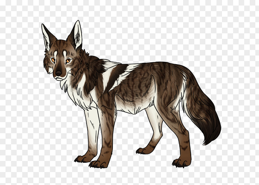 Cat Gray Wolf Coyote Red Fox PNG