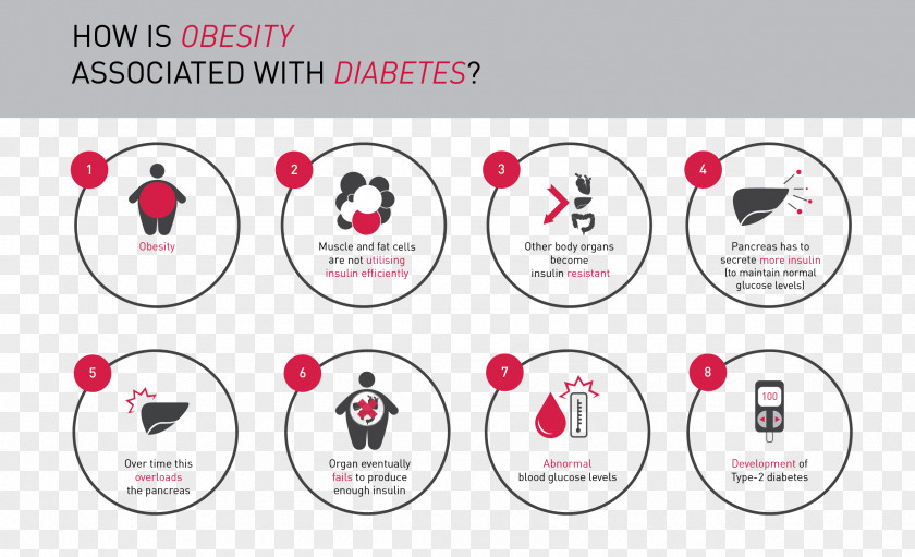 Child Childhood Obesity Overweight Diabetes Mellitus Type 2 PNG