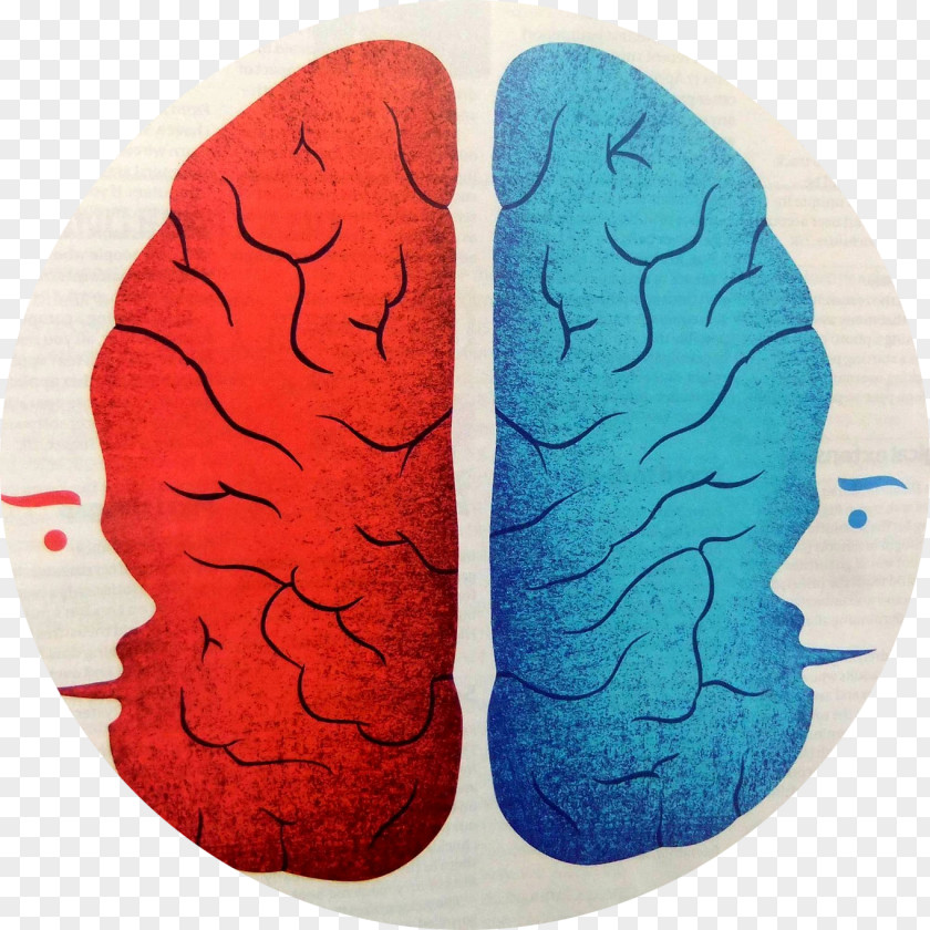 France Split-brain French Perception PNG