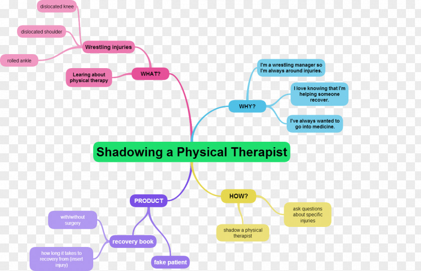 Mind Mapping Physical Therapy Occupational Map PNG