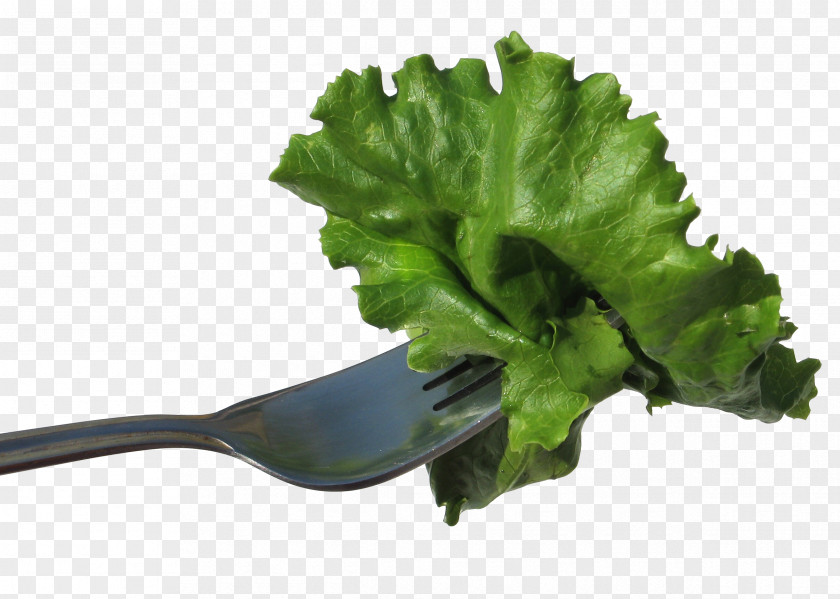 Tie Lettuce Fork Vegetable Salad Food Eating PNG