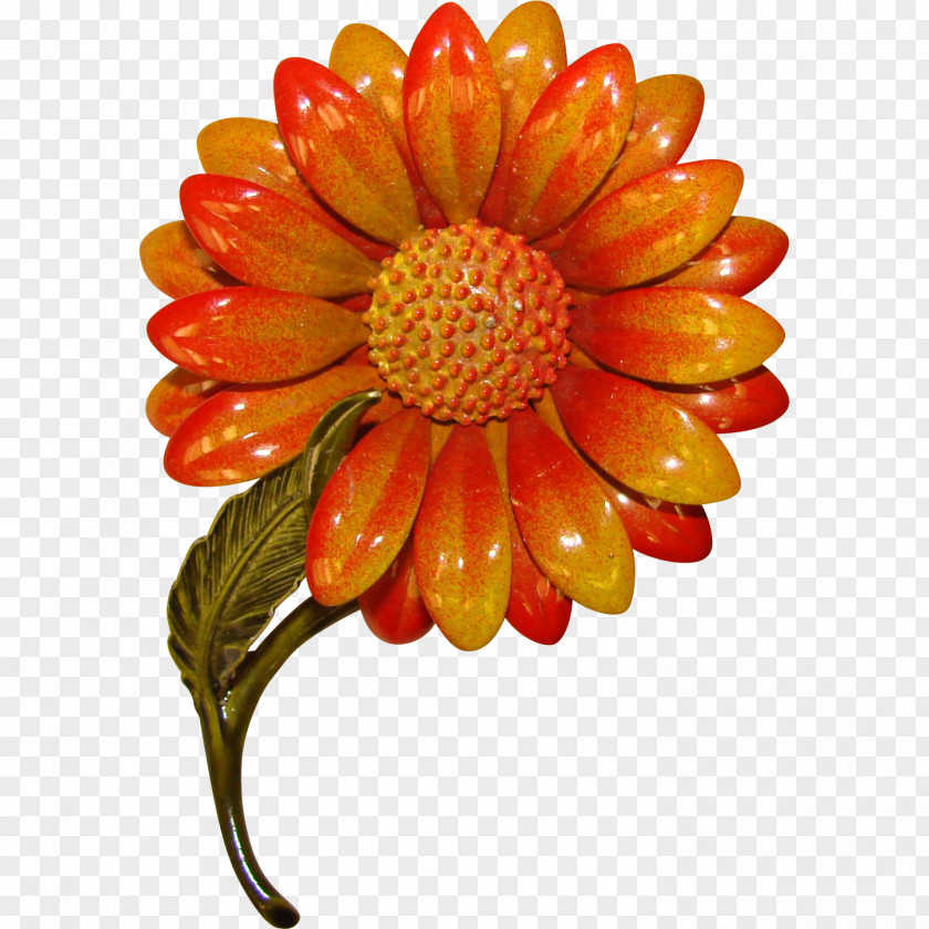 1960s Flower Store Transvaal Daisy Cut Flowers Chrysanthemum Dahlia PNG