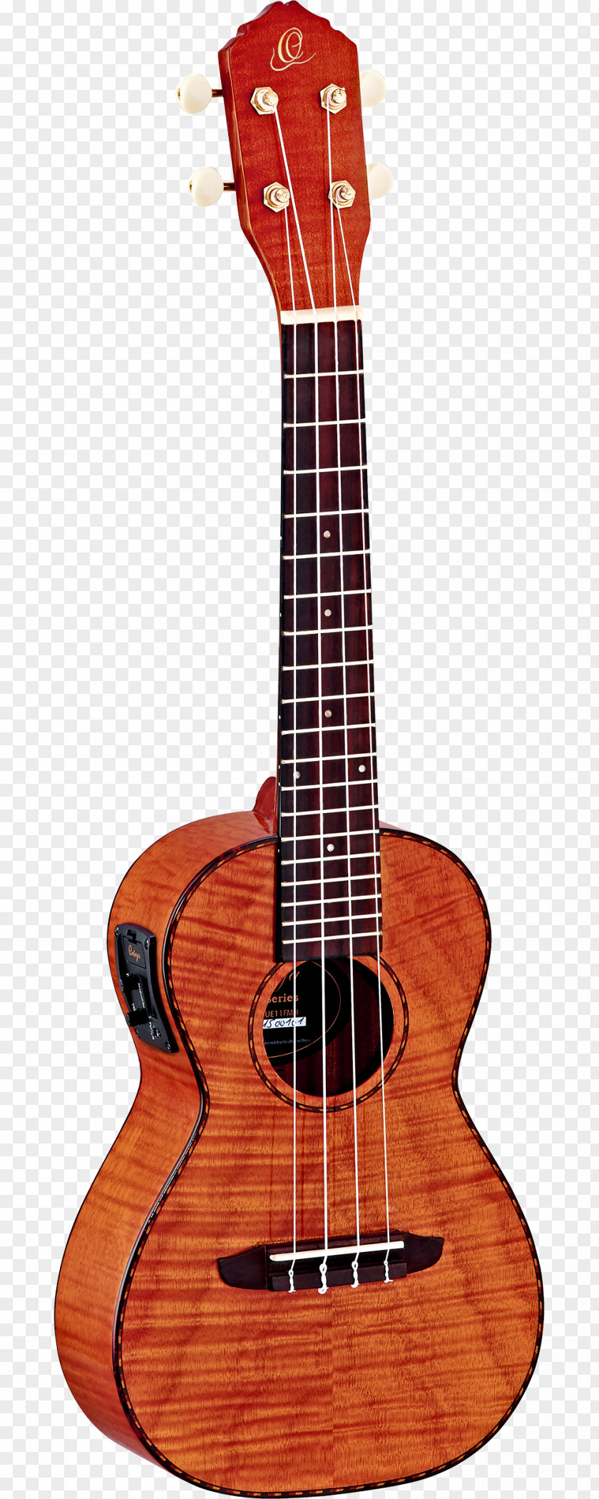 Amancio Ortega Ukulele Guitar Amplifier Soprano Musical Instruments PNG