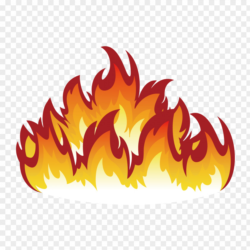 Flame Fireworks Fire Combustion PNG