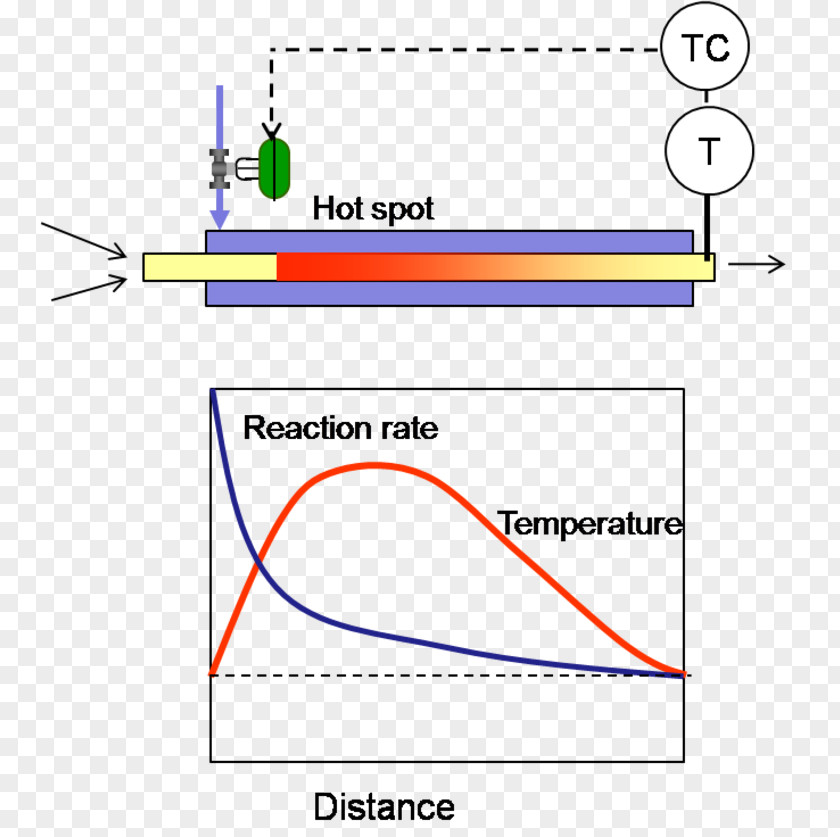 Light Coliphage Bacteriophage Diagram Point PNG