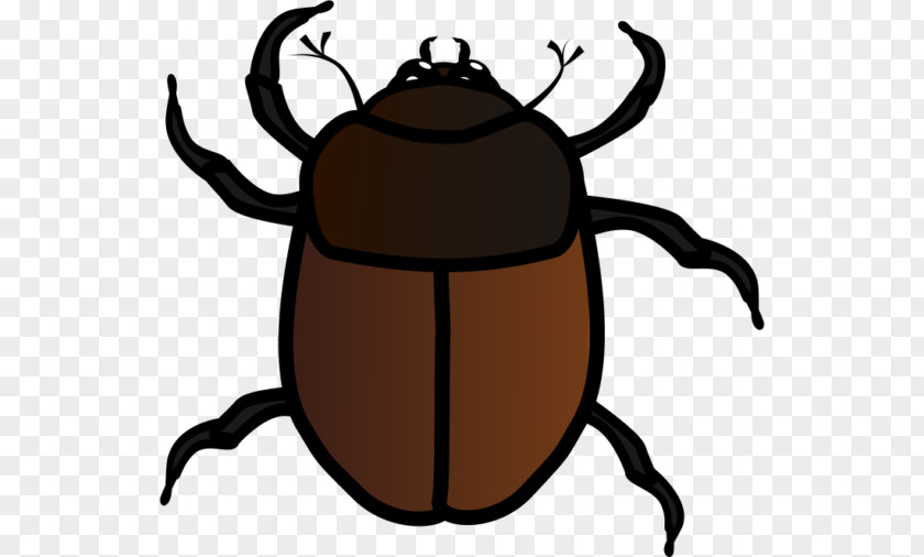 Queen Ecommerce Beetle Clip Art Free Content True Bugs Illustration PNG