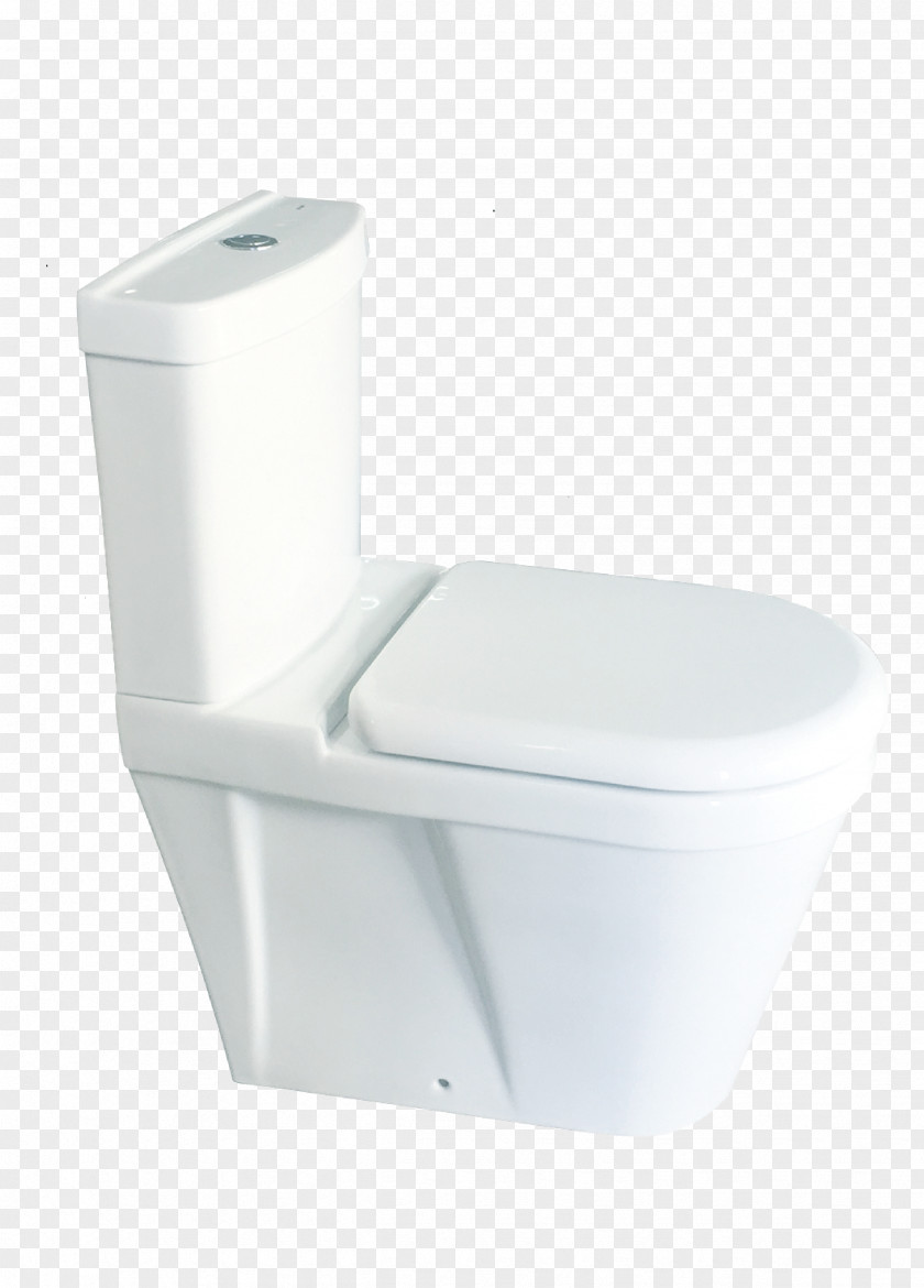 Toilet Roca & Bidet Seats Bathroom Parryware PNG