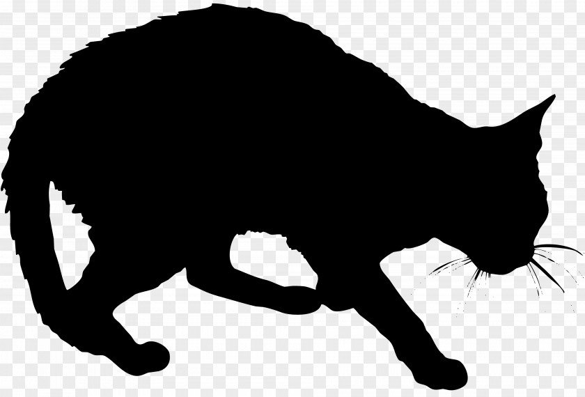 Vector Cat Logo Black Kitten Whiskers Domestic Short-haired Wildcat PNG