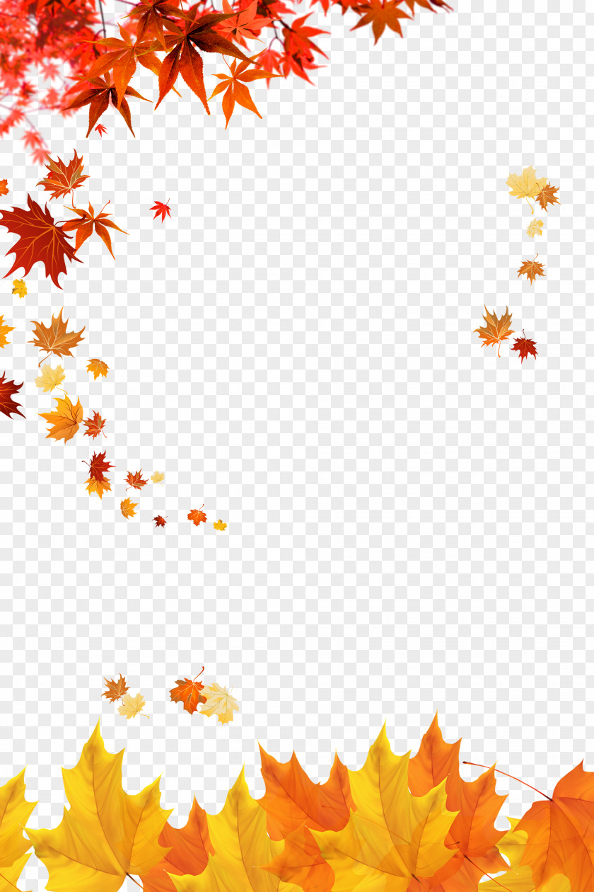 Maple Leaves Autumn Poster Zarrin, Yazd PNG
