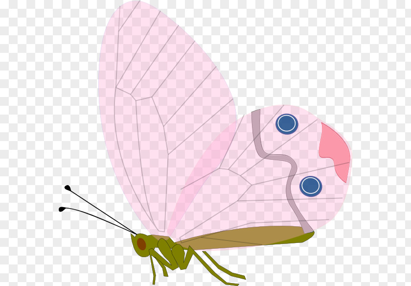 Red Antennae Butterfly Insect Clip Art PNG