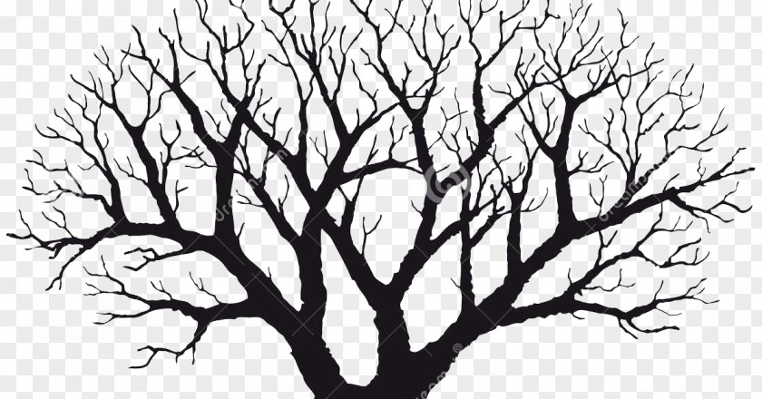 Tree Vector Graphics Clip Art Stock Illustration PNG