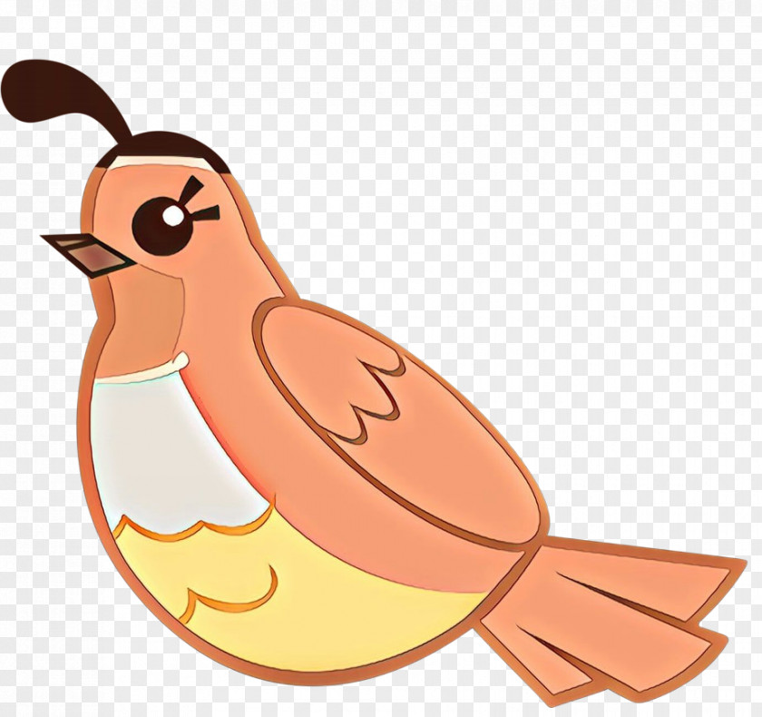 Bird Cartoon Beak PNG