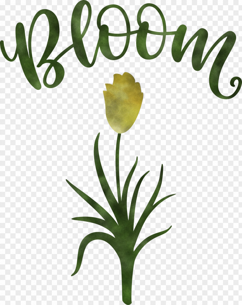 Bloom Spring Flower PNG