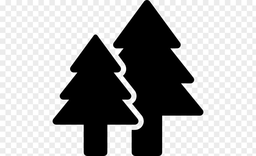 Christmas Tree Forest Industry Pine PNG