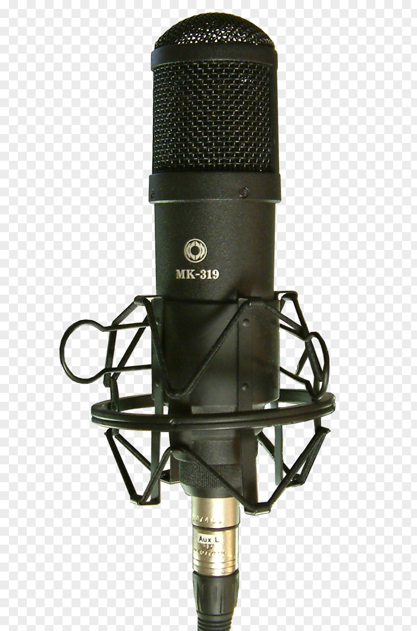 Condenser Mic Microphone Oktava MK-319 Condensatormicrofoon TC-Helicon PNG