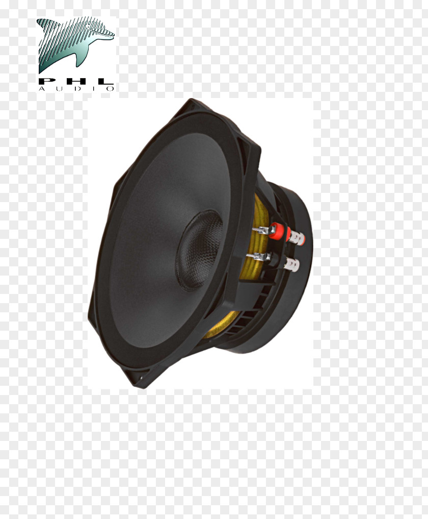 Design Subwoofer Loudspeaker Enclosure Document PNG