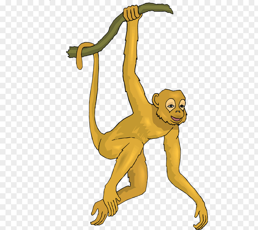 Spider Monkey Pictures Free Ape Clip Art PNG