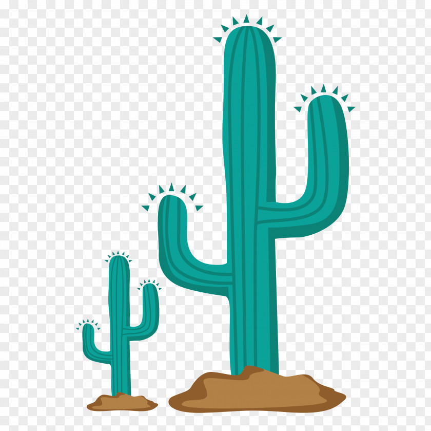 Cactus Size Cactaceae Clip Art PNG