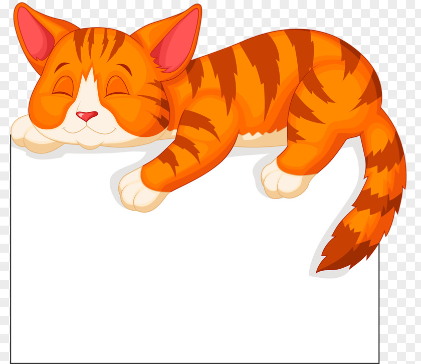 Cartoon Cat Kitten Illustration PNG