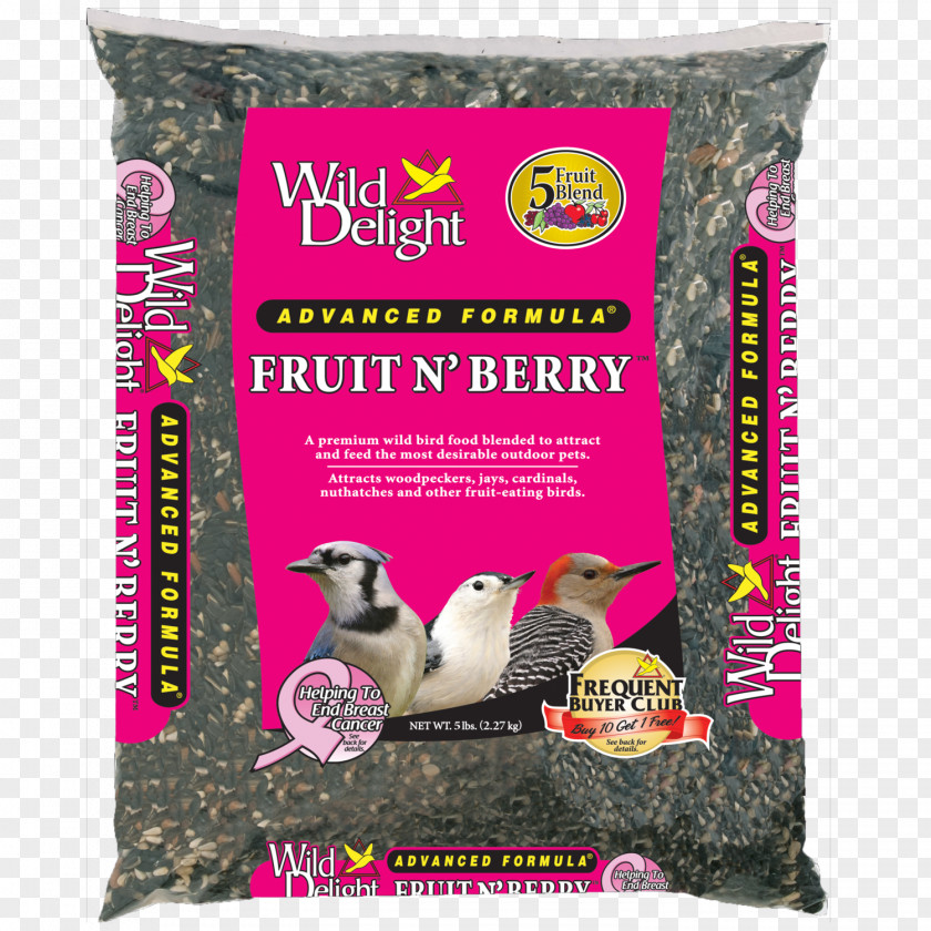 Parrot Bird Food Berry Fruit PNG