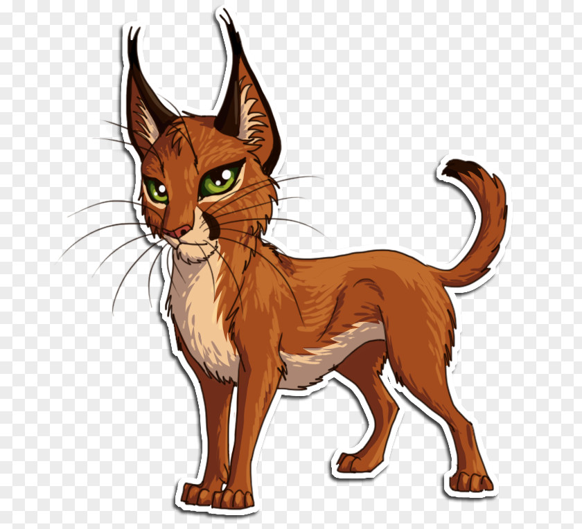 Cat Whiskers Wildcat Red Fox Dog PNG