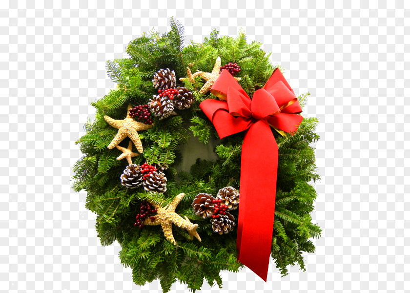 Dennis Christmas Decoration WreathGreenery Agway Of Cape Cod PNG