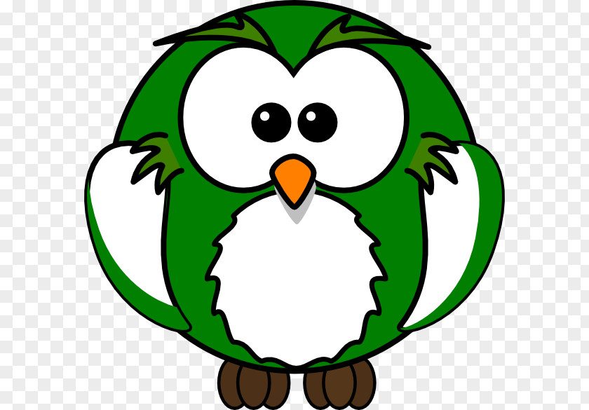 Green Owl Drawing Cartoon Clip Art PNG