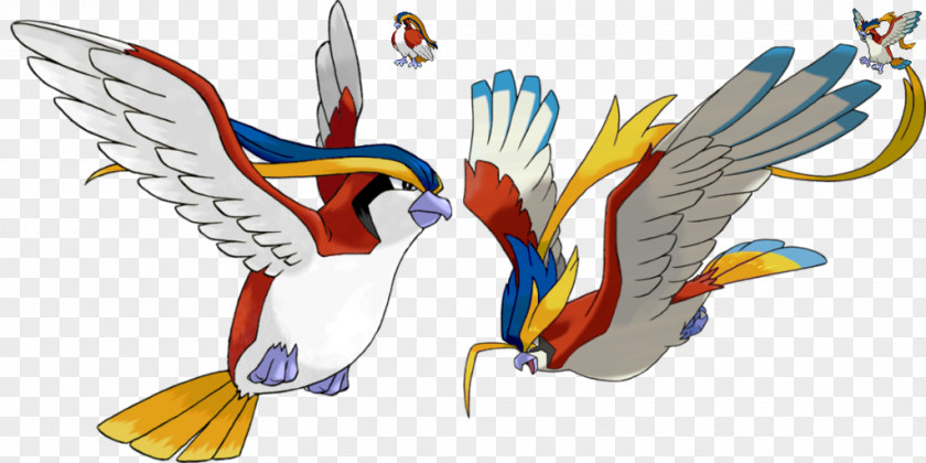 Pokémon X And Y Omega Ruby Alpha Sapphire Battle Revolution Sun Moon Pidgeot PNG
