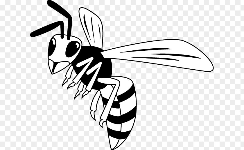 Insect Honey Bee Black And White Clip Art PNG