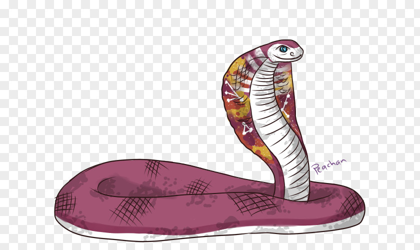Snakes Vector Graphics Image Cobra PNG